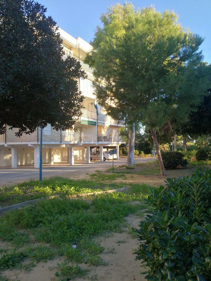Punta Prima Beach Apt Orihuela Costa Daire Dış mekan fotoğraf